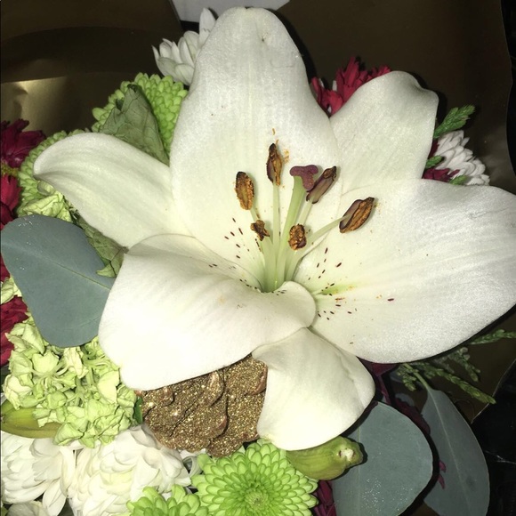 Meet your Posher, Stephanie - Picture 1 of 1